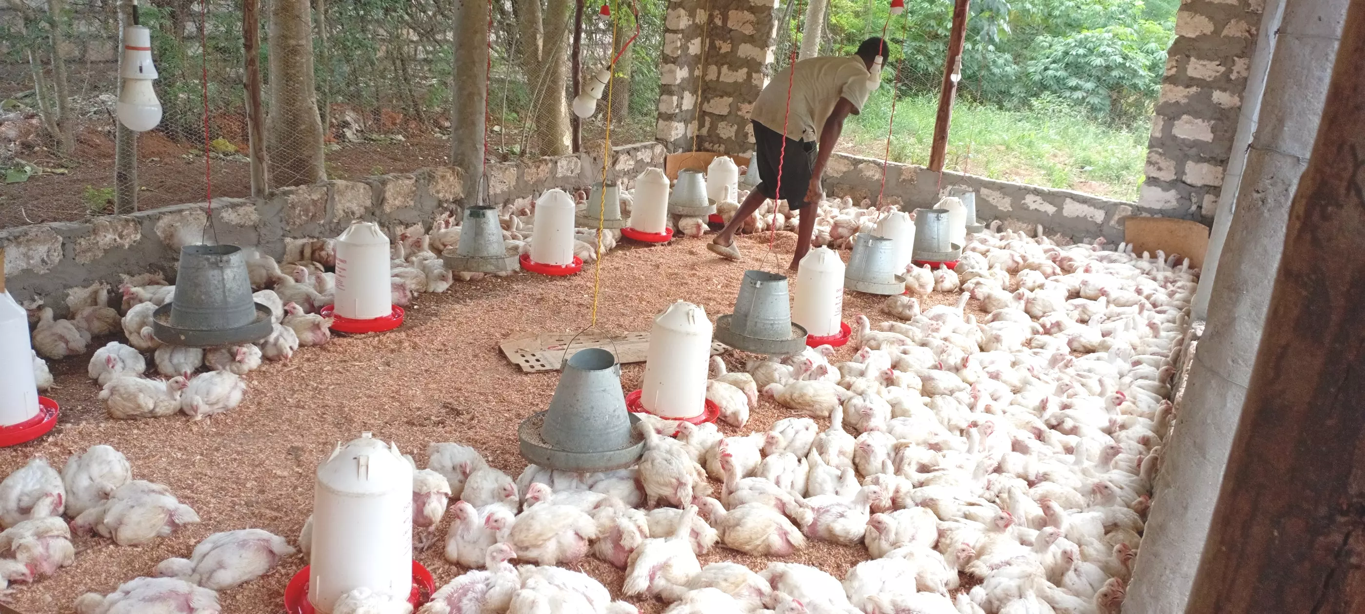 Our Dedicated Team - watamu broilers